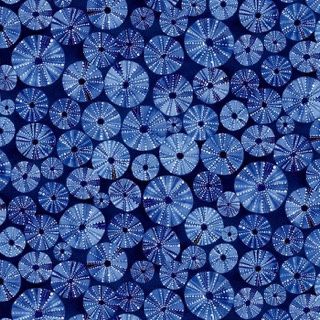 By The Sea - Sand Dollars on Navy