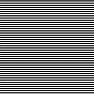 Selfies - White Stripe