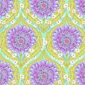 Untamed - Daisy and Confused - Nova