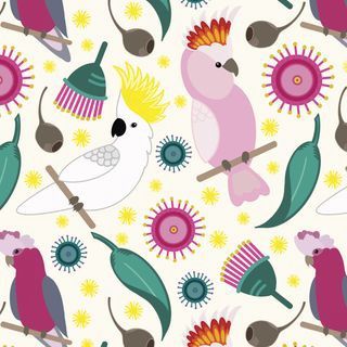 Orenda Joy Green - Cockatoos and Galahs