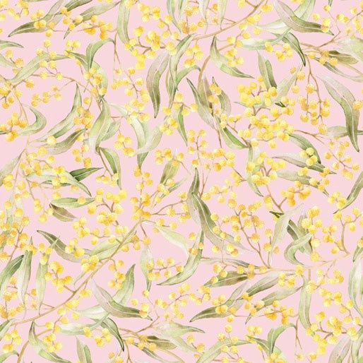 Golden Wattle - Golden Wattle Pink I