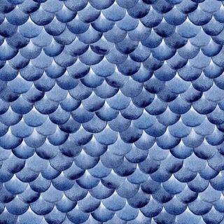 By The Sea - Scales on Blue