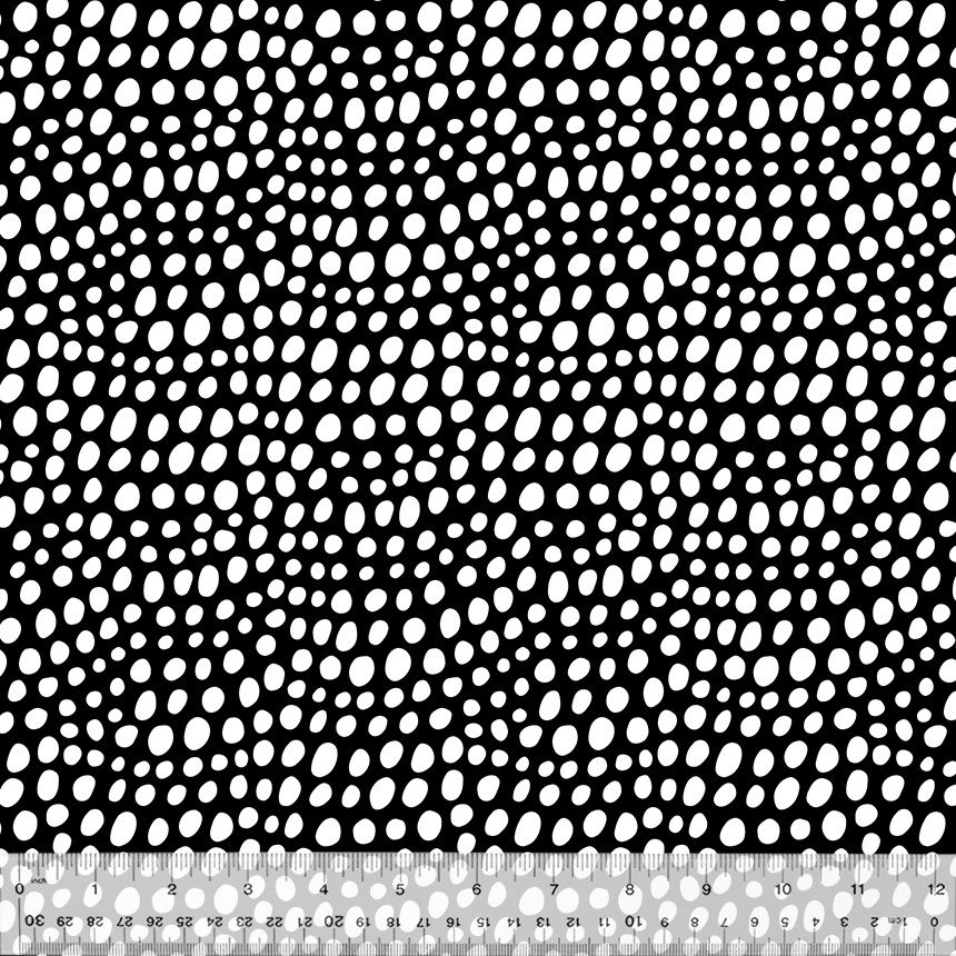 First Look - Spots White on Black