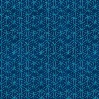 Everyday Magic - Teal on Navy