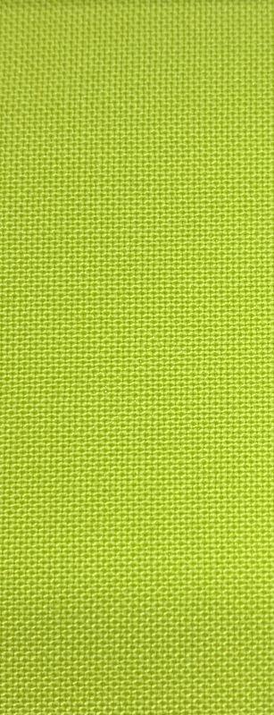 Grasshopper