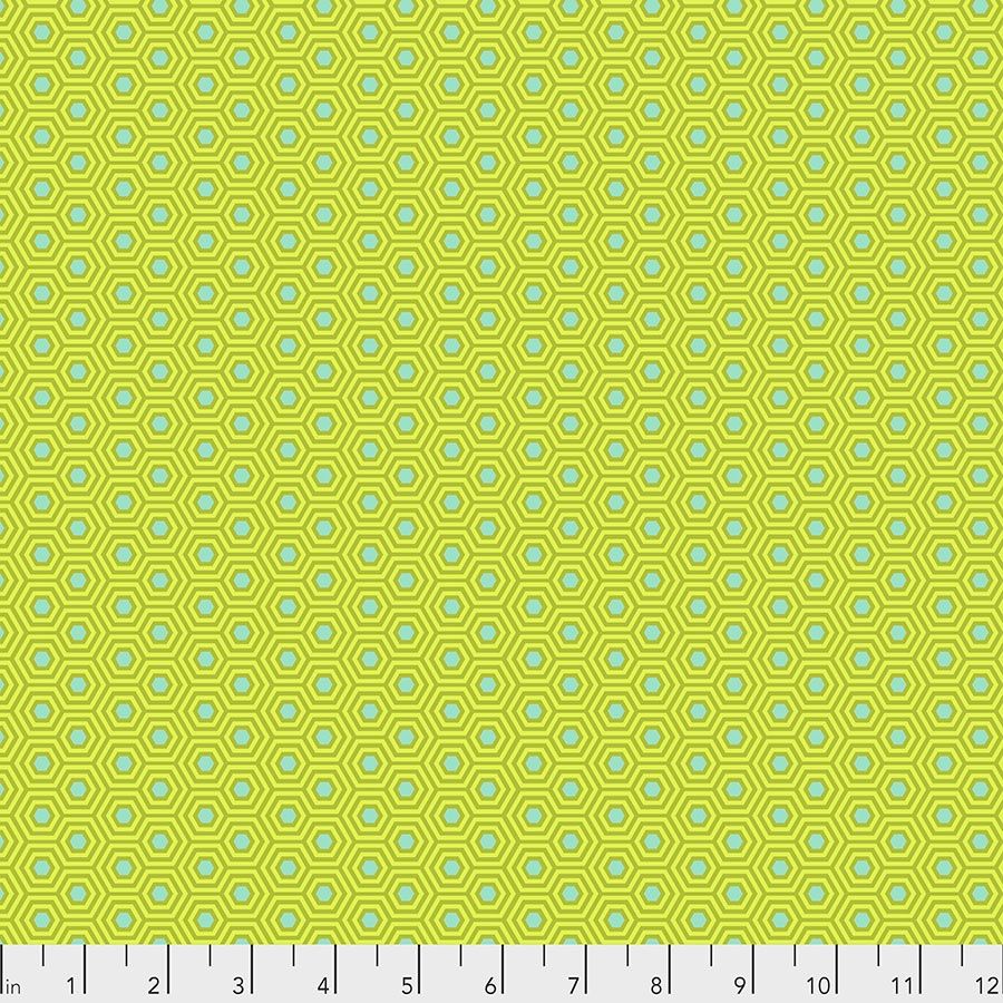 Hexy - Chameleon