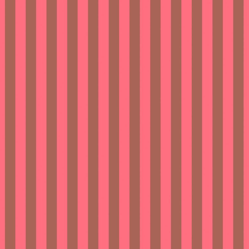 Neon Tent Stripe - Nova Fat Qtr