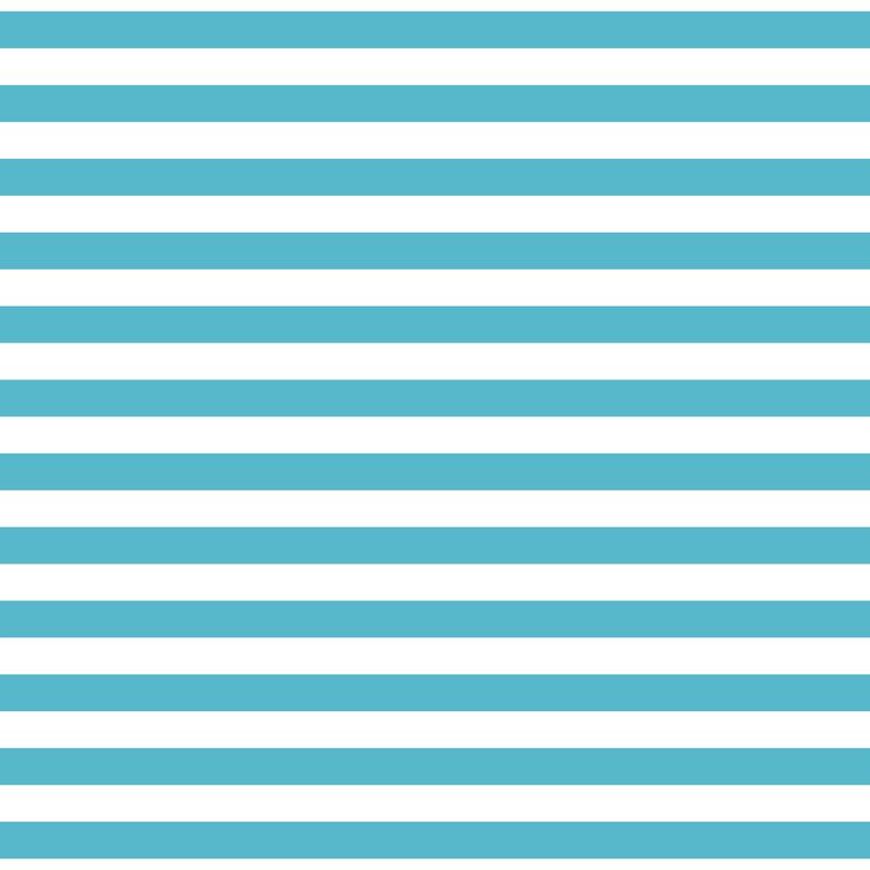 Fundamentals 1/2 Stripe Barrier Blue