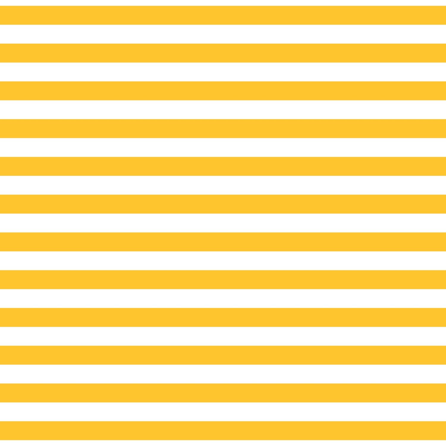 Fundamentals 1/2 Stripe Sunnyside