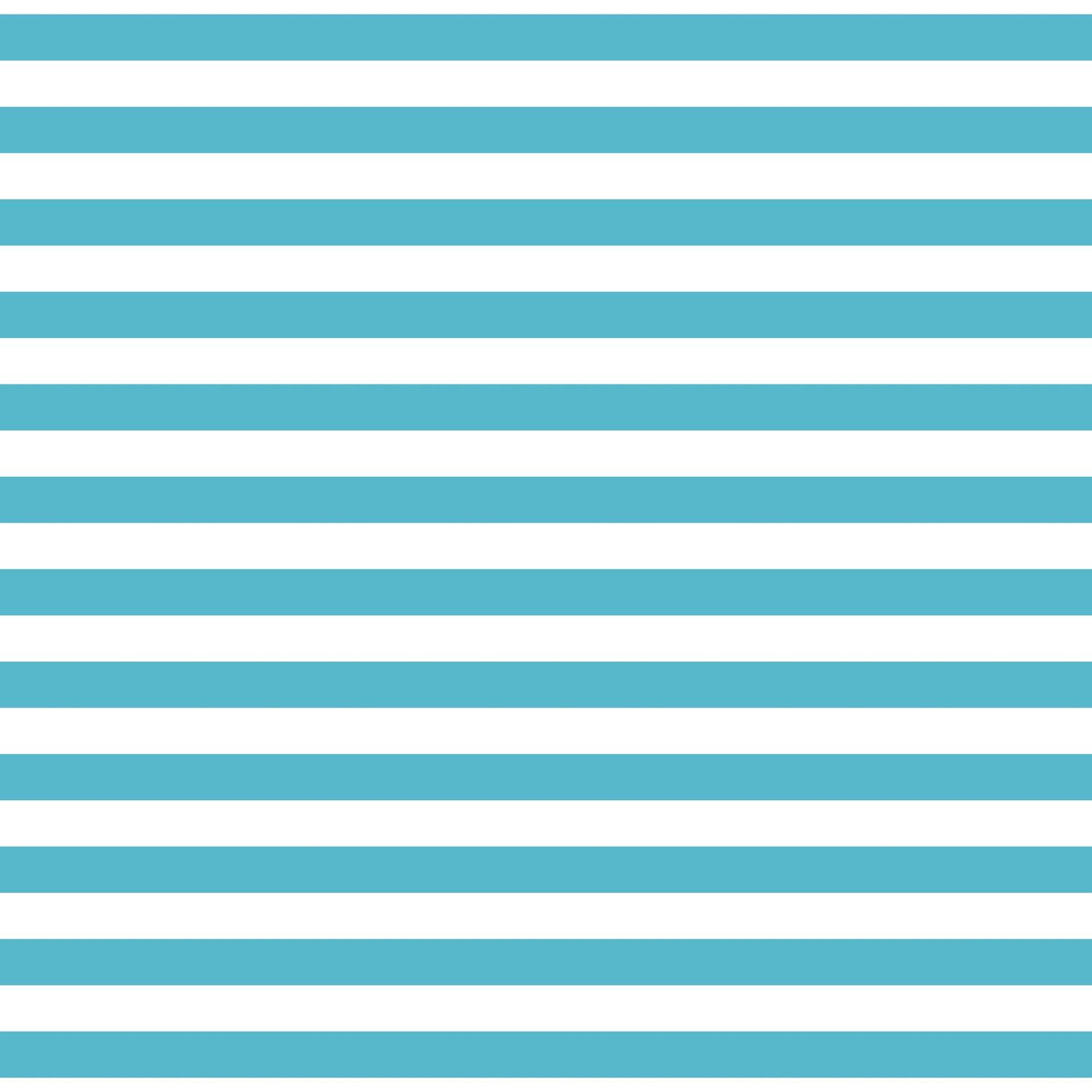 Fundamentals 1/2 Stripe Barrier Blue Fat Qtr