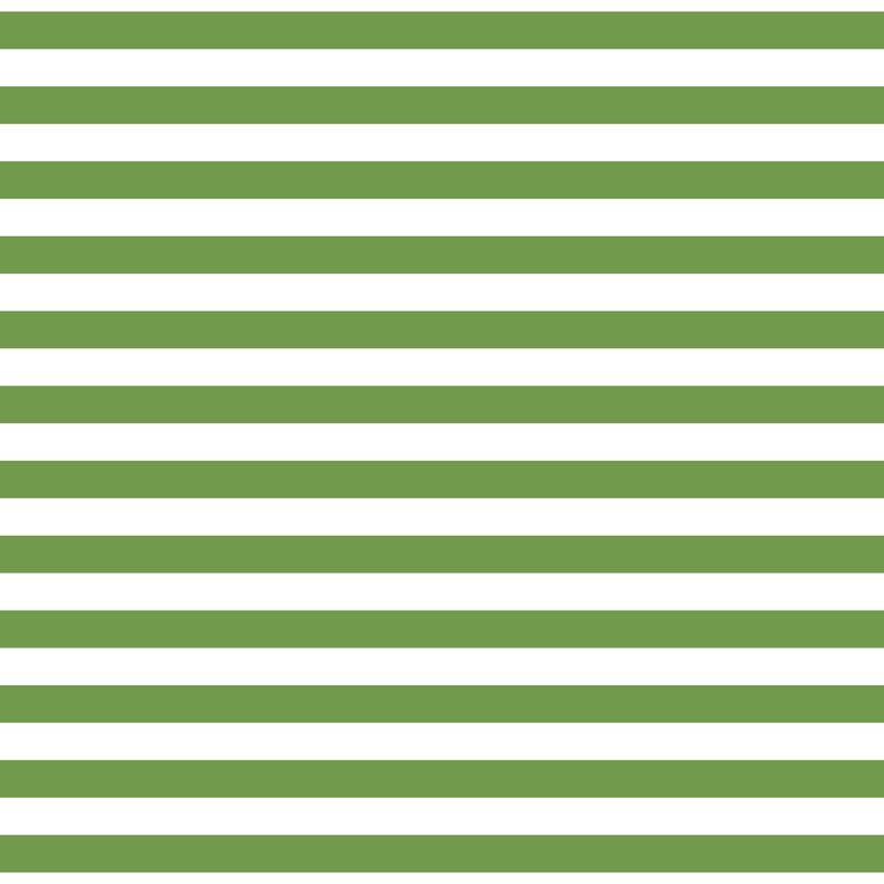 Fundamentals 1/2 Stripe Crocodile