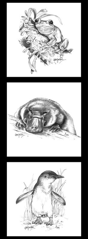 Frog, Platypus, Penguin - Natalie Jane Parker Collection