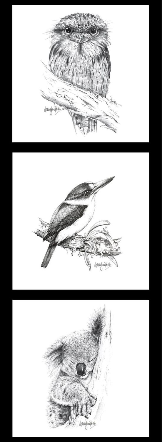 Owl, Kingfisher, Koala - Natalie Jane Parker Collection