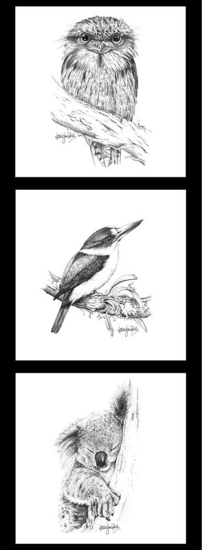Owl, Kingfisher, Koala - Natalie Jane Parker Collection