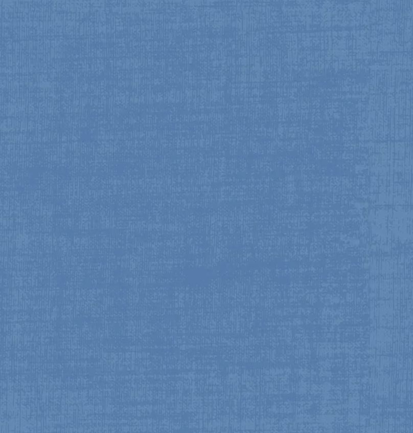 Building Block Texture Blue Tongue Fat Qtr