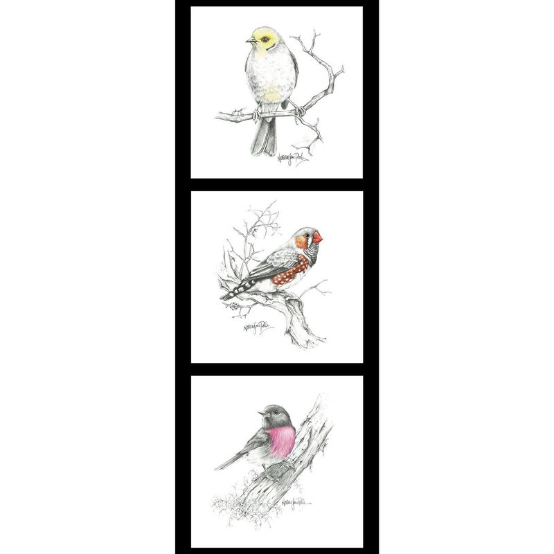 Birds - Natalie Jane Parker Collection