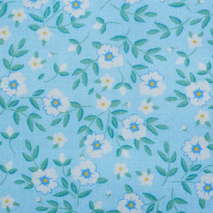 Wild Garden - Wild Flowers