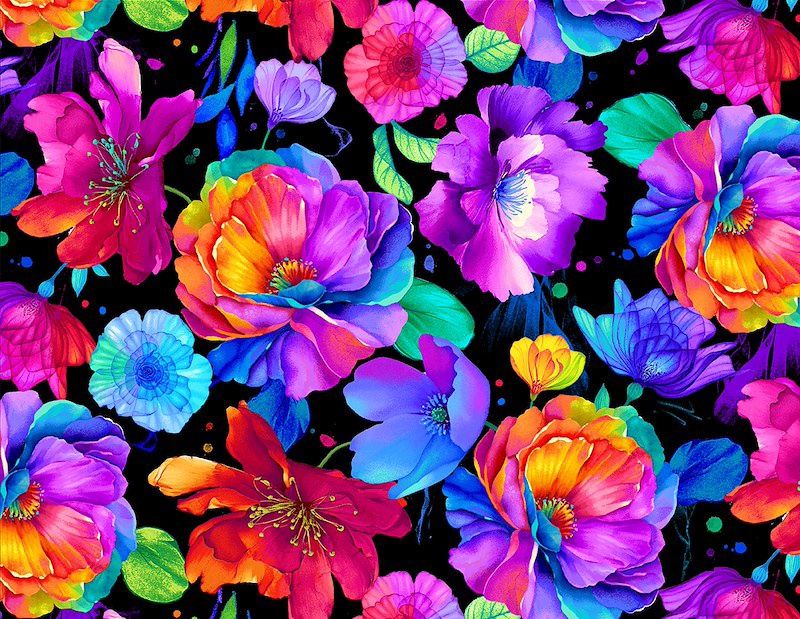 Petal Power - Large Floral on Black