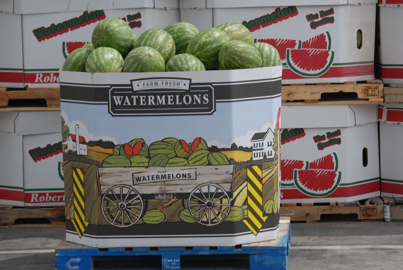 Watermelon Bins