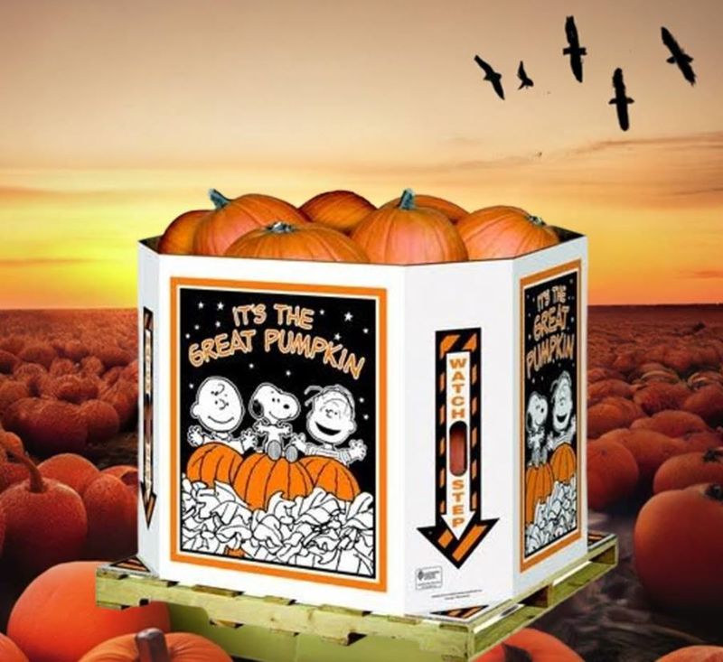 Pumpkin Bins