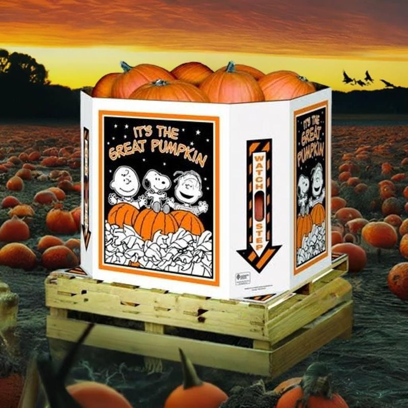 Pumpkin Bin