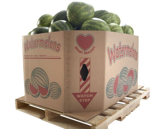 Strong Watermelon Bins
