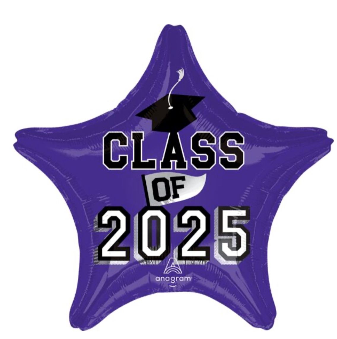 19&quot; Class of 2025 - Purple