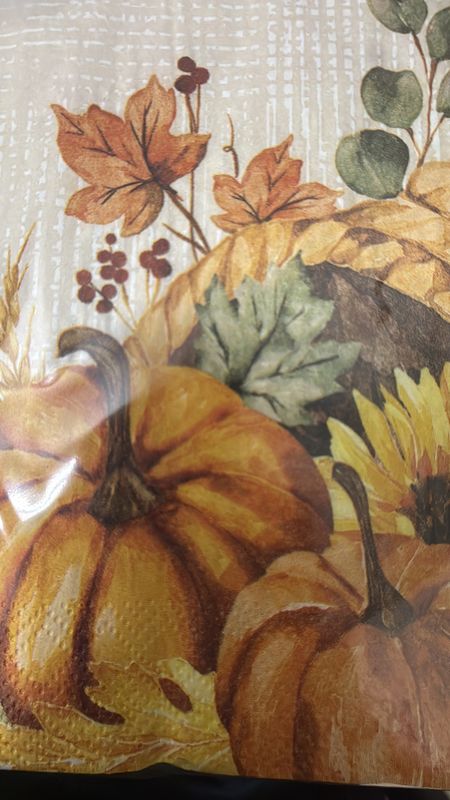 Fall Festivities Party Napkins 16-count 