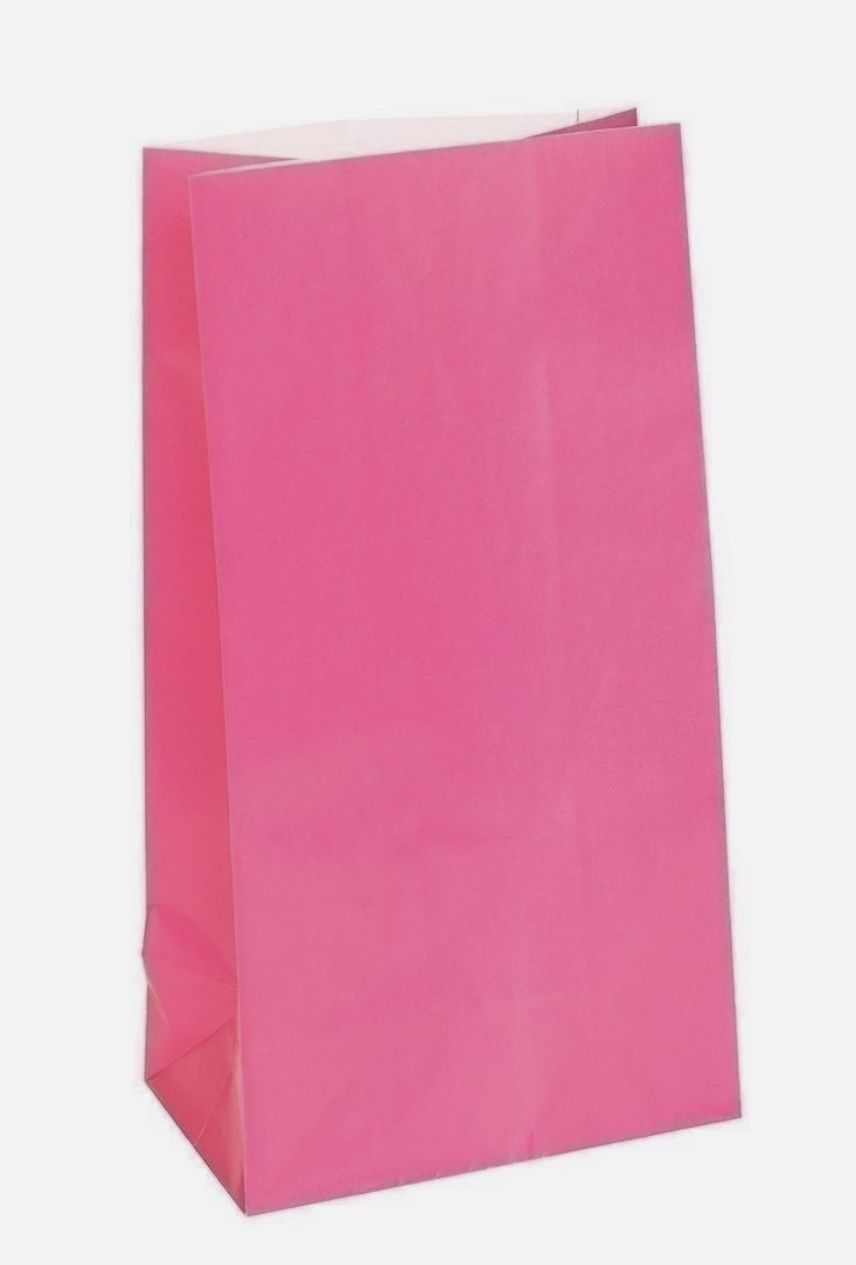 12 PAPER PARTY BAGS -HOT PINK