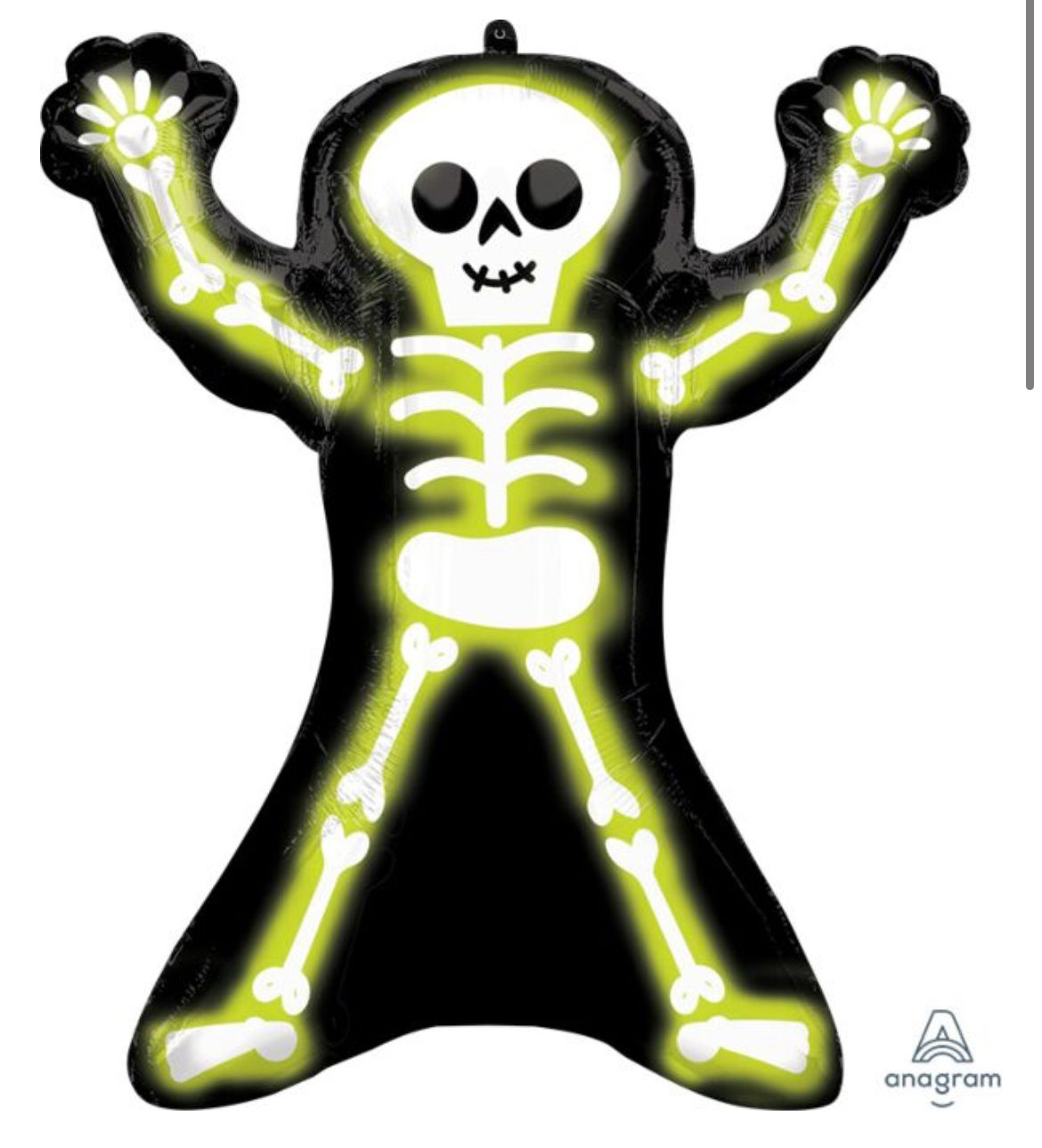 30" Neon Skelly
