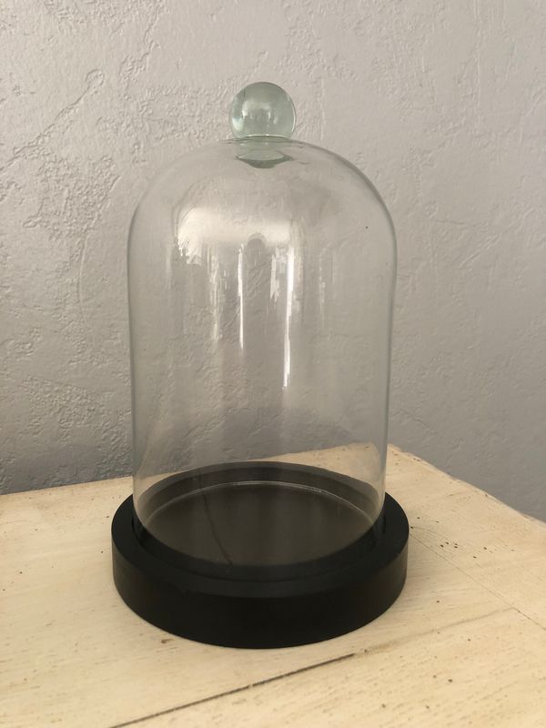 Cloche en verre - PM