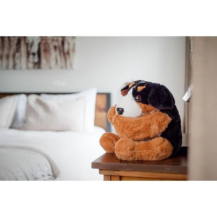 TOUTOU LOURD - BUFFY BOUVIER BERNOIS 4LBS