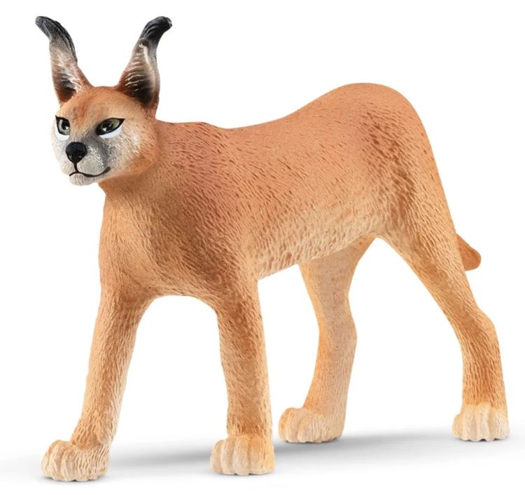 SCHLEICH 14867 - FEMELLE CARACAL