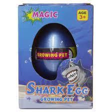 OEUF REQUIN GROSSISSANT