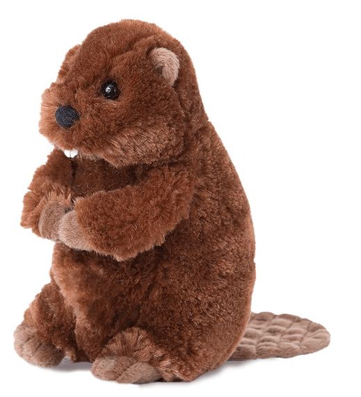 PELUCHE DOUGLAS - BUDDY LE CASTOR