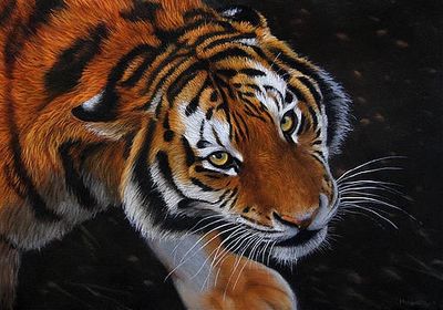 BRODERIE DE DIAMANT CRYSTAL ART TRÈS GRAND - LE TIGRE