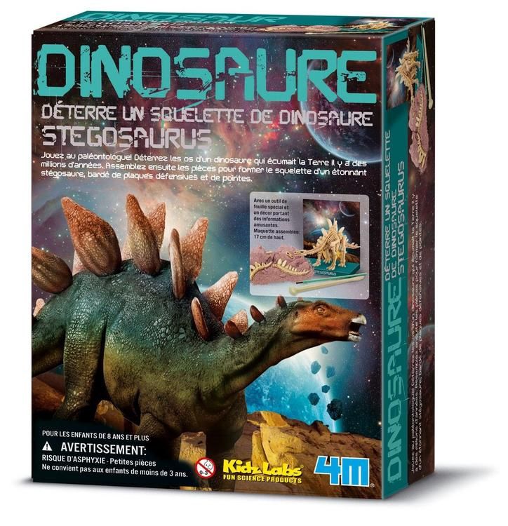 SQUELETTE DE DINOSAURE - STÉGOSAURE
