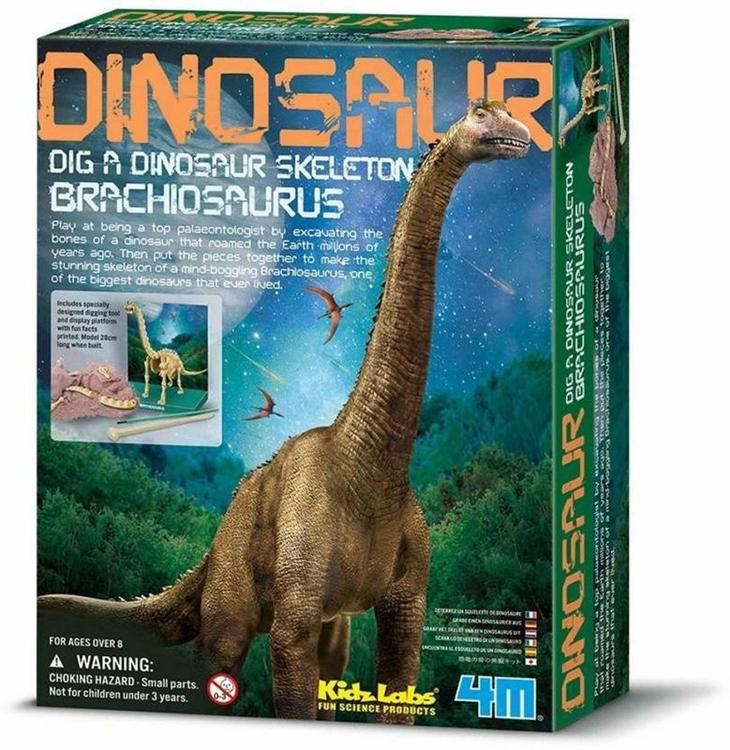 SQUELETTE DE DINOSAURE - BRACHIOSAURE