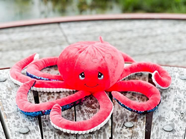 TOUTOU LOURD 2 KG - PIEUVRE OCTAVIA