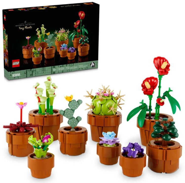 LEGO BOTANICALS 10329 - LES PLANTES MINIATURES (St-Valentin)