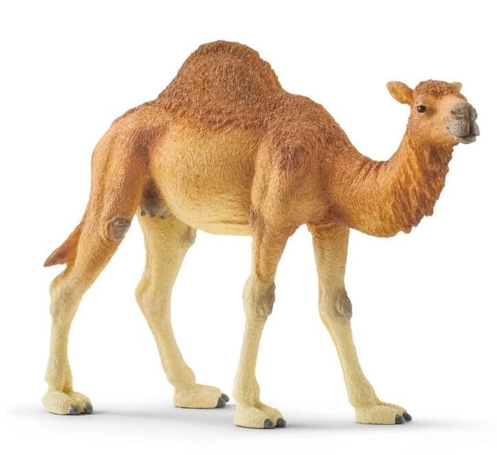Schleich 14832 - Dromadaire
