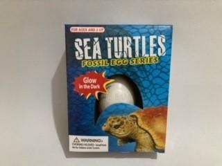 OEUF FOSSILE DE TORTUE À GRATTER