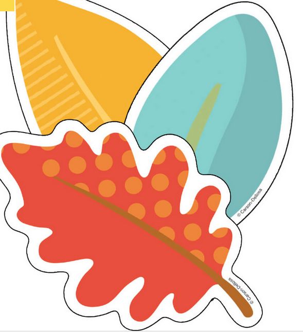 CARTONS FEUILLES ASSORTIES