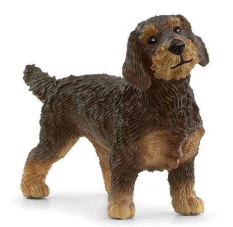 SCHLEICH 13972 - CHIEN DACHSHUND À POIL DUR