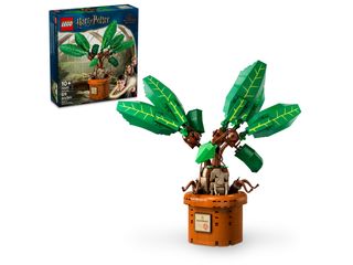 LEGO HARRY POTTER 76433 - LA MANDRAGORE