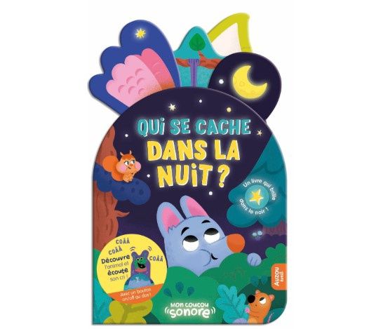 LIVRE - QUI SE CACHE DANS LA NUIT?