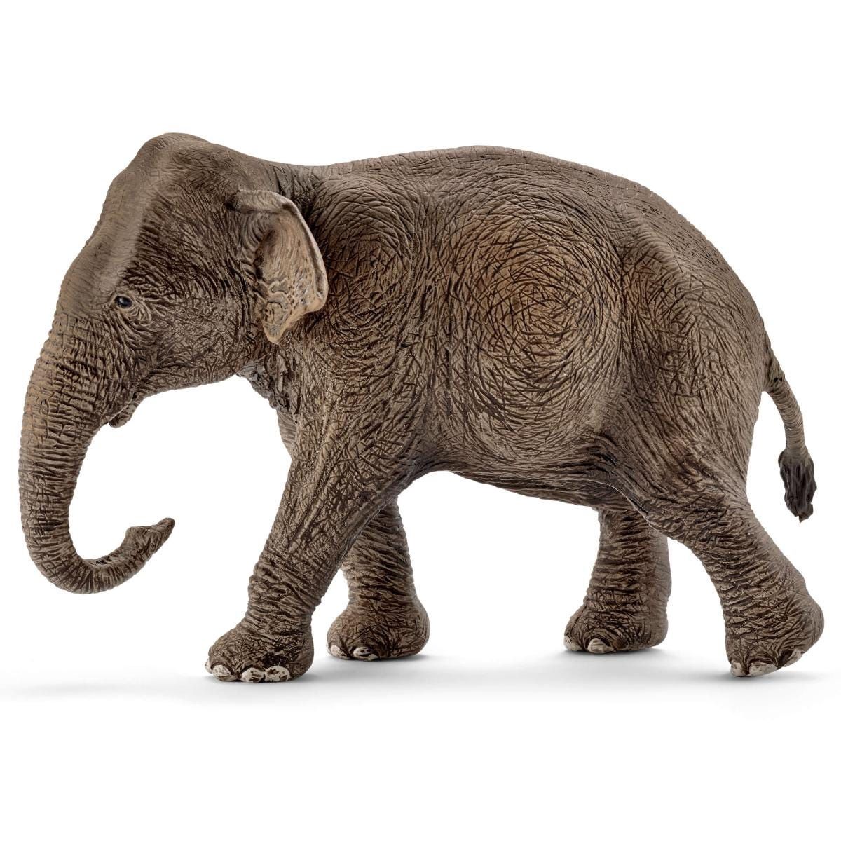 SCHLEICH 17001 - ÉLÉPHANT FEMELLE D'ASIE