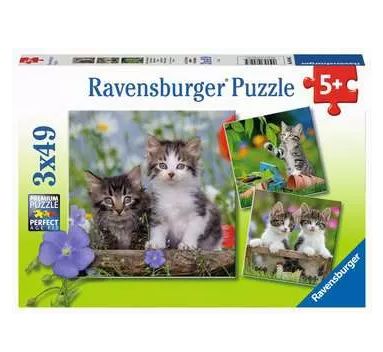 CASSE-TÊTE 3 X 49 PIÈCES RAVENSBURGER - CHATONS TIGRES