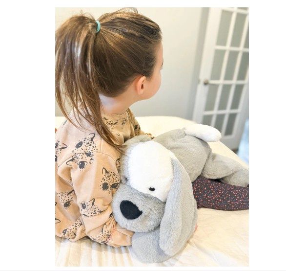 TOUTOU LOURD - MILO LE CHIEN 2 KG