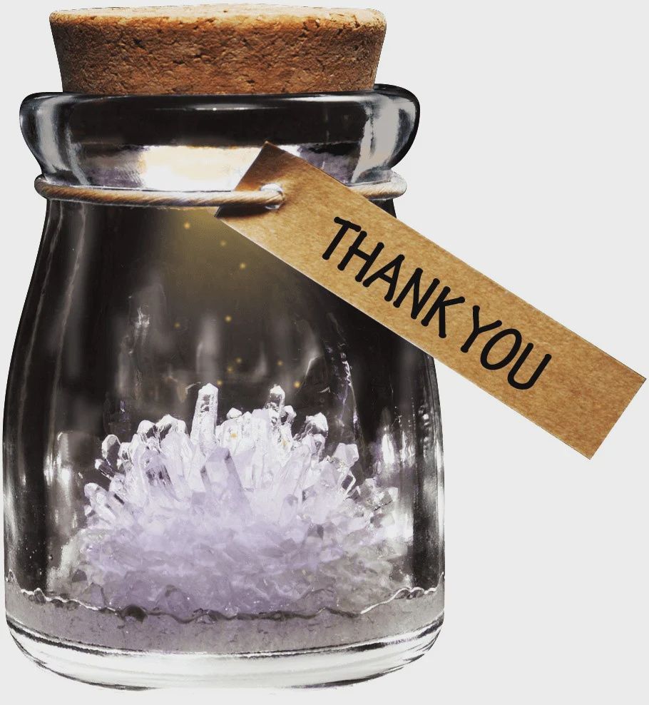 LE POT LUMINEU  -JARDIN DE CRYSTALE BLANC POUR DIRE MERCI